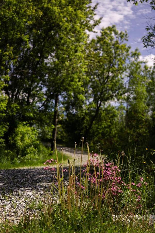 Superbe Condo A 5 Minutes Du Mont Orford エクステリア 写真