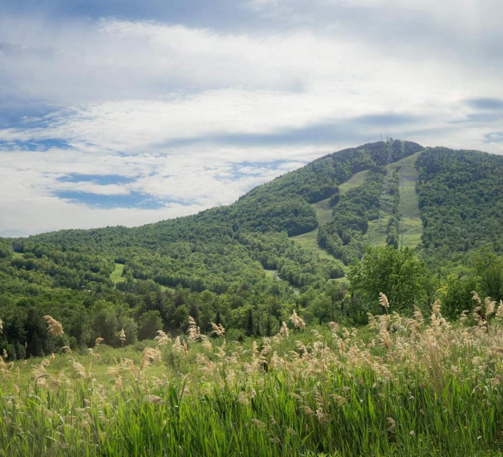 Superbe Condo A 5 Minutes Du Mont Orford エクステリア 写真